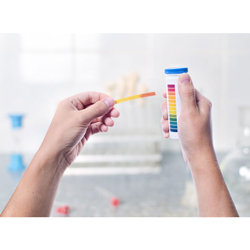 Water testing for iron, lead, copper, hardness, chlorine, ph, alkalinity